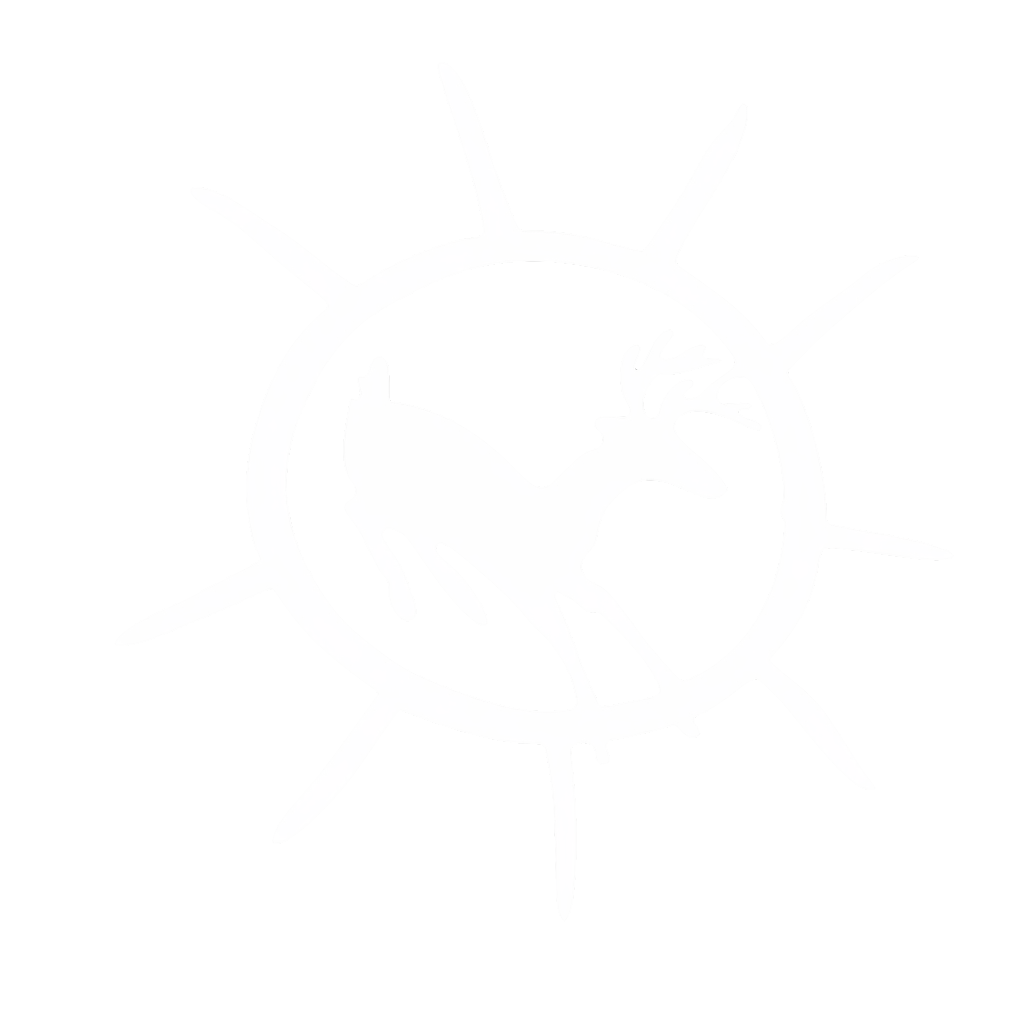 Casino Rama Solutions LTD